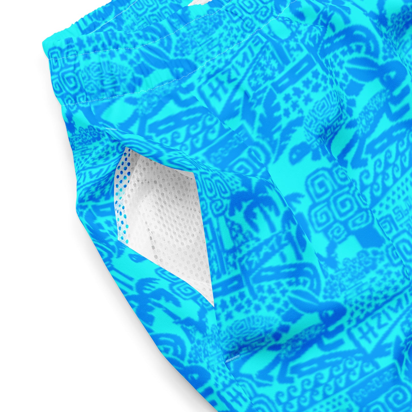 Aesop's Swim Trunks Blue